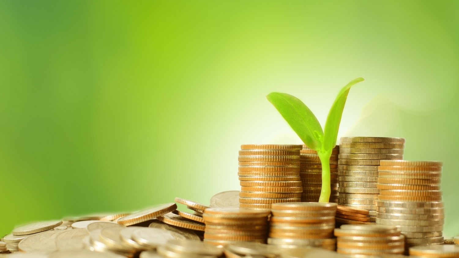 内蒙古市场监管局:以行风促业务 激活经营主体“红细胞”